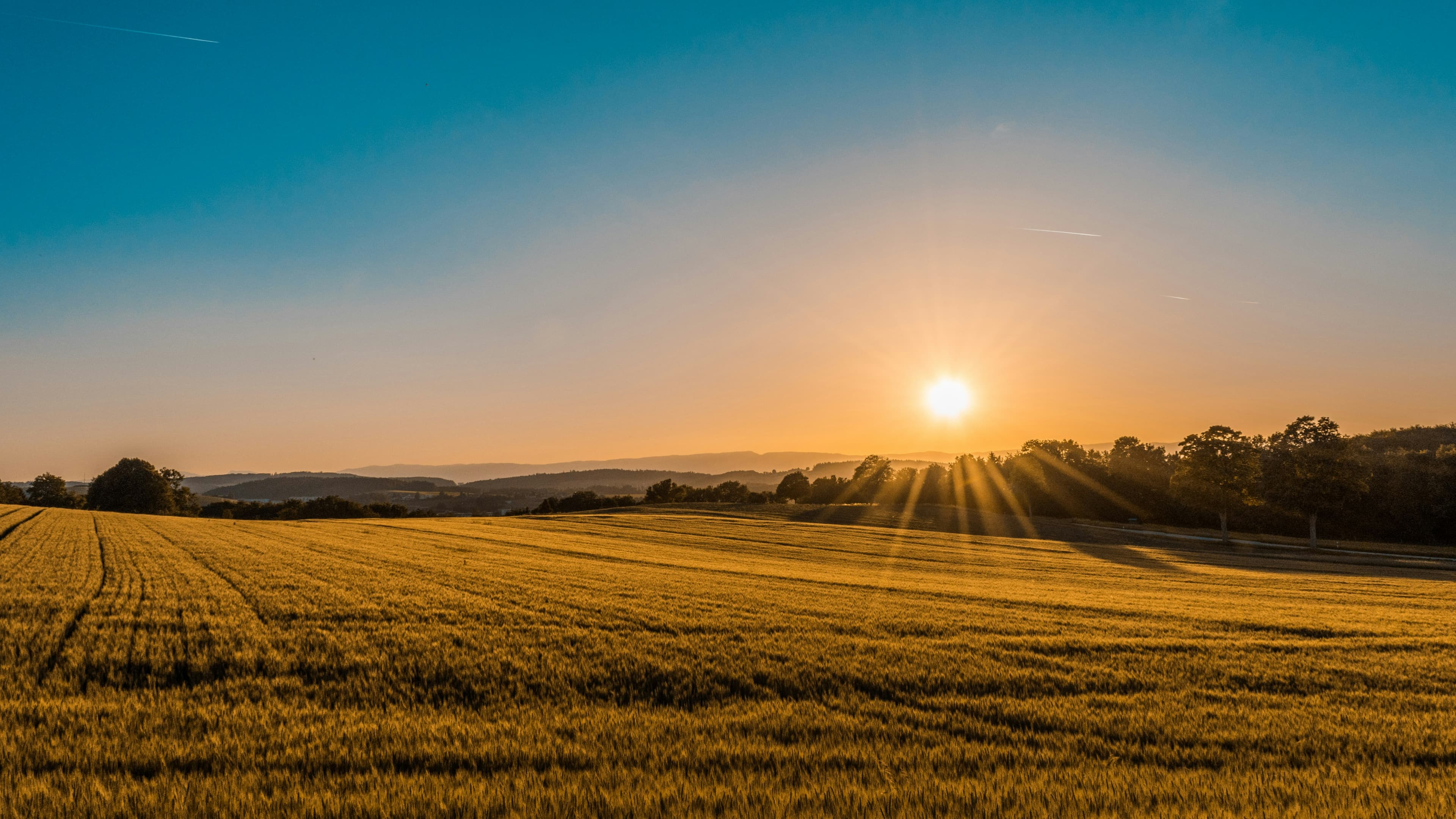 Agricultural landscape at dusk